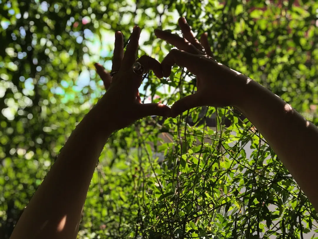 Hands building blocks visualizing mindset responsibility for personal development